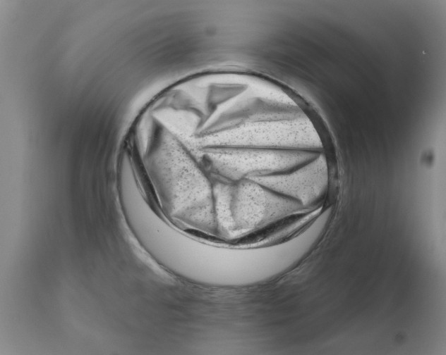 X0000111941480200908241128