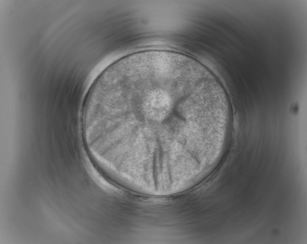 X0000111941482200908241128