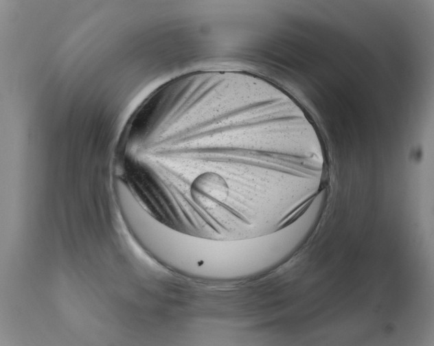 X0000111941484200908241128