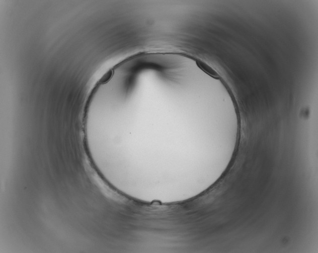 X0000111941485200908241128