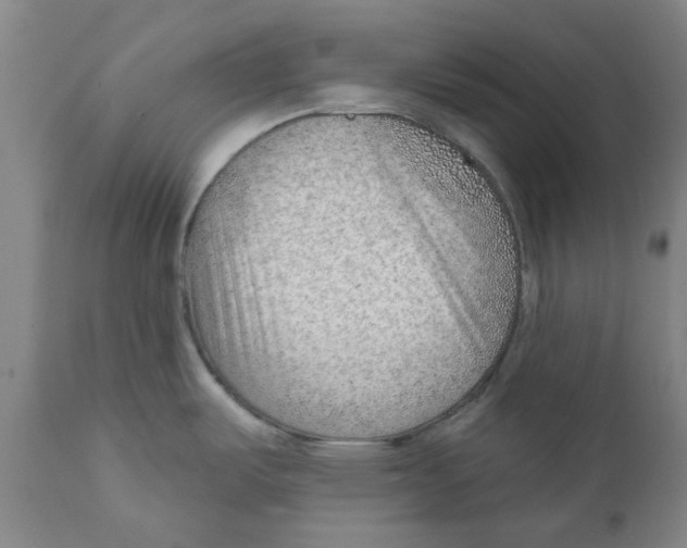 X0000111941487200908241128