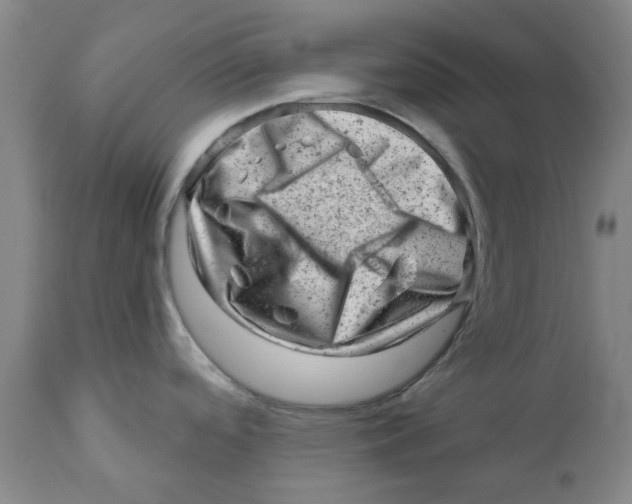 X0000111941488200908241128