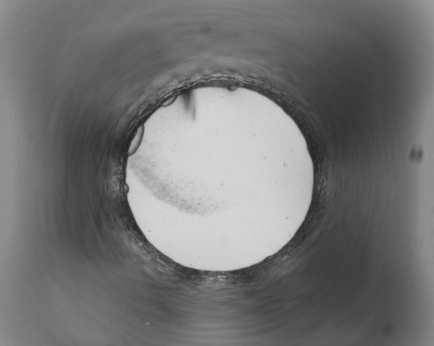 X0000111941490200908241127