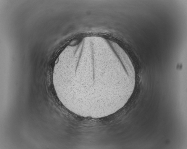 X0000111941493200908241127