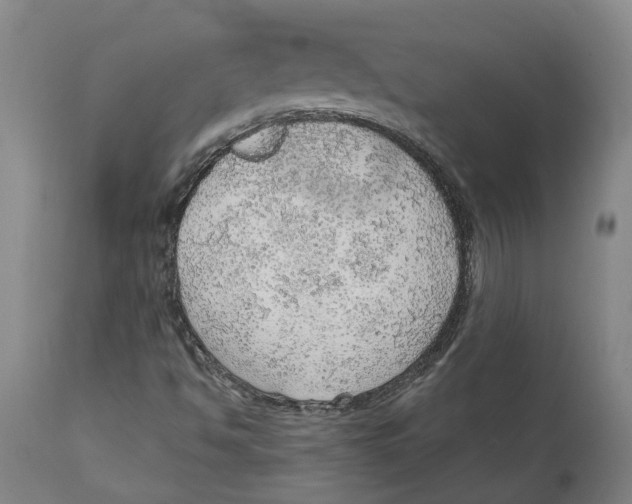 X0000111941494200908241127