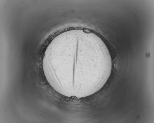 X0000111941495200908241127