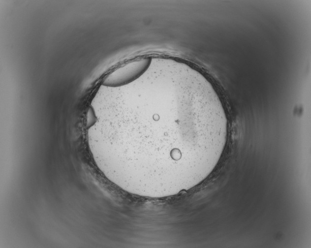 X0000111941496200908241127