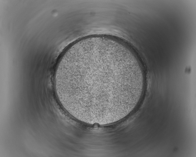 X0000111941497200908241127