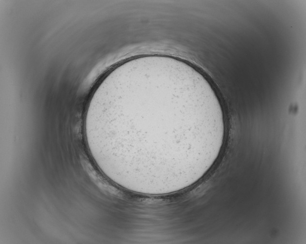 X0000111941499200908241127