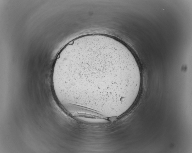 X0000111941500200908241127