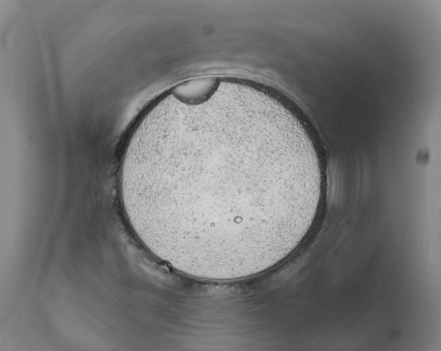 X0000111941501200908241127