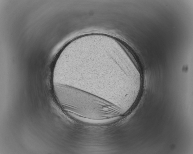 X0000111941502200908241127