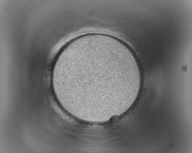 X0000111941503200908241127