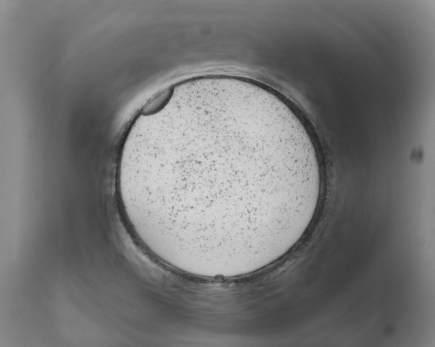 X0000111941504200908241127