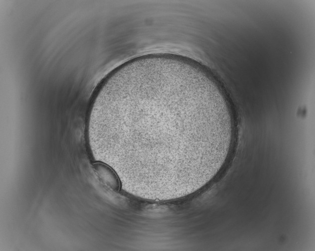 X0000111941505200908241127