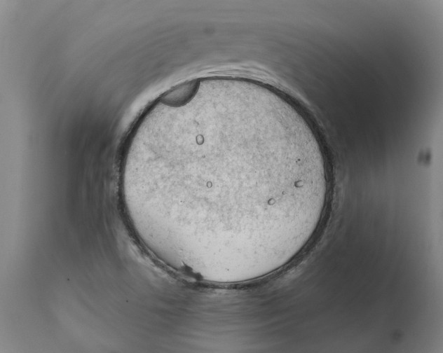 X0000111941506200908241127