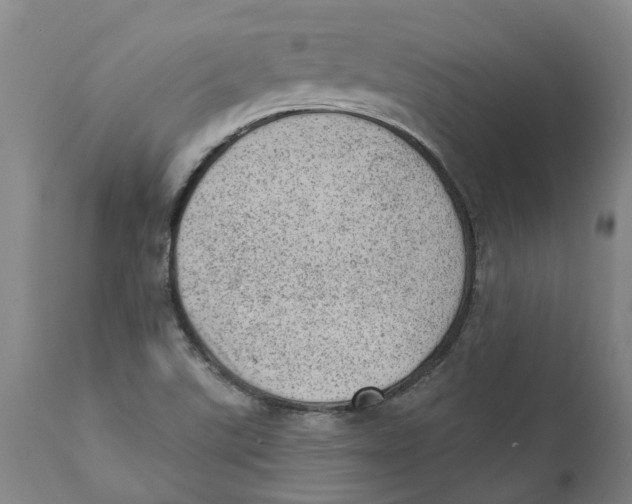 X0000111941507200908241127