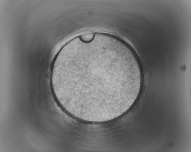 X0000111941508200908241127