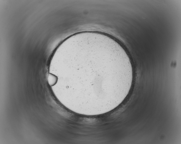 X0000111941509200908241127