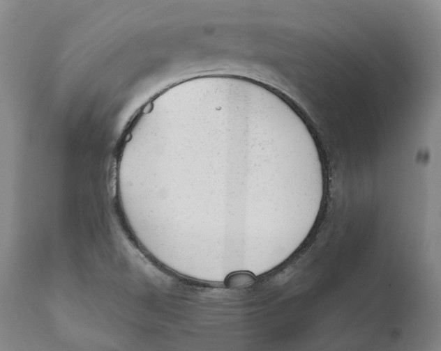 X0000111941510200908241127