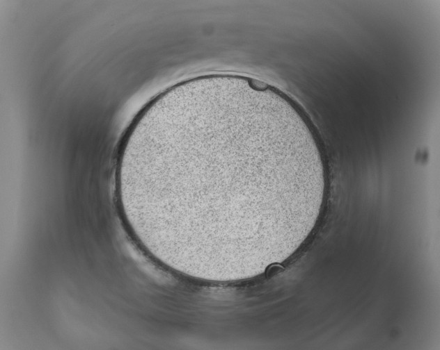 X0000111941511200908241127