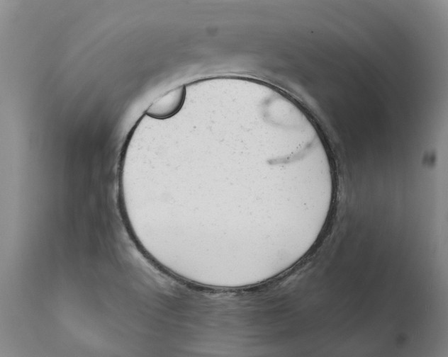 X0000111941512200908241127