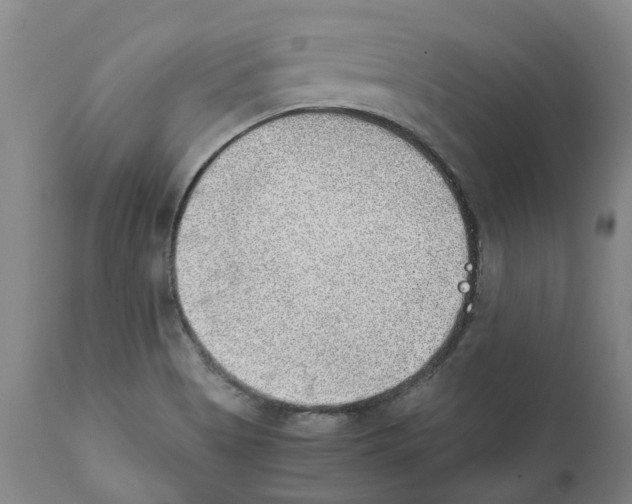 X0000111941513200908241128