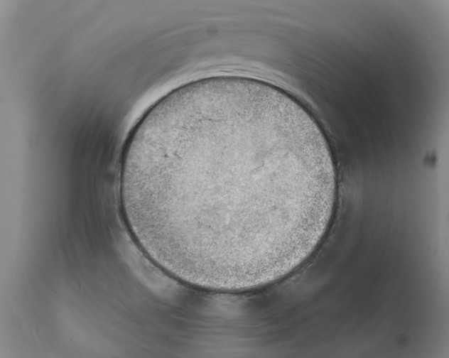 X0000111941514200908241128