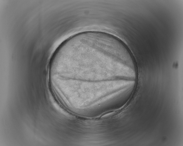 X0000111941515200908241128