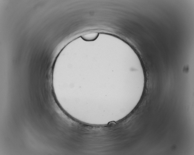 X0000111941516200908241128