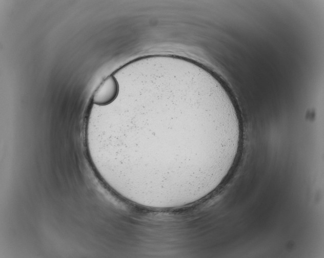 X0000111941517200908241128