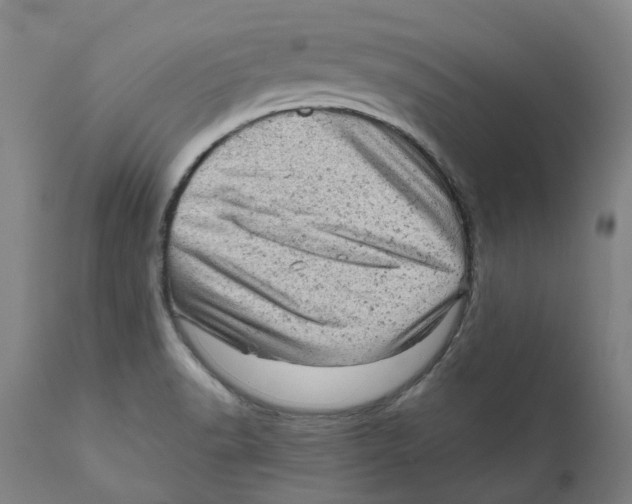 X0000111941518200908241128