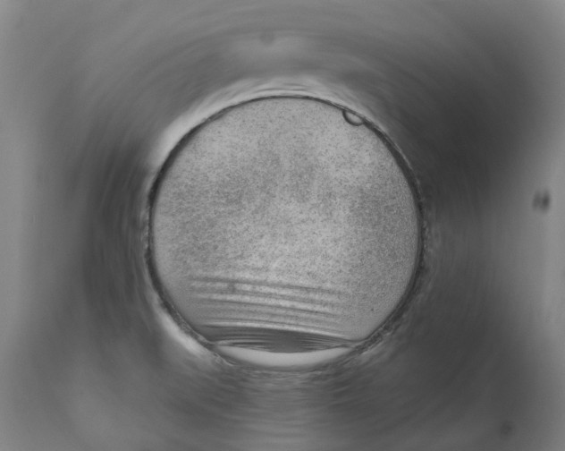 X0000111941519200908241128