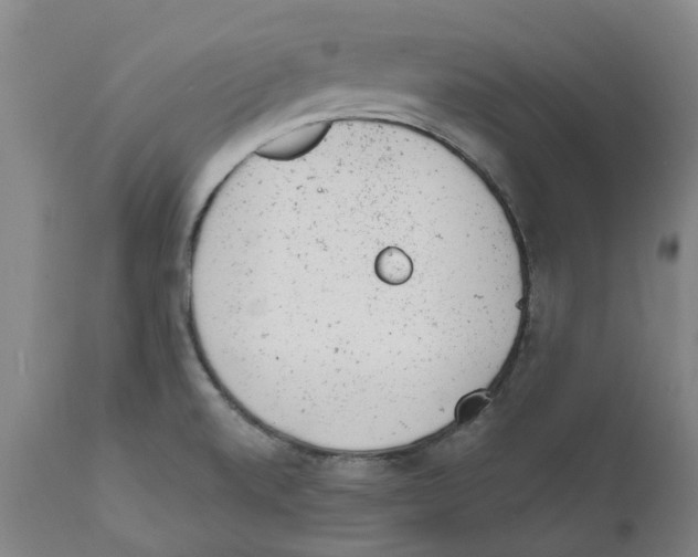 X0000111941520200908241128