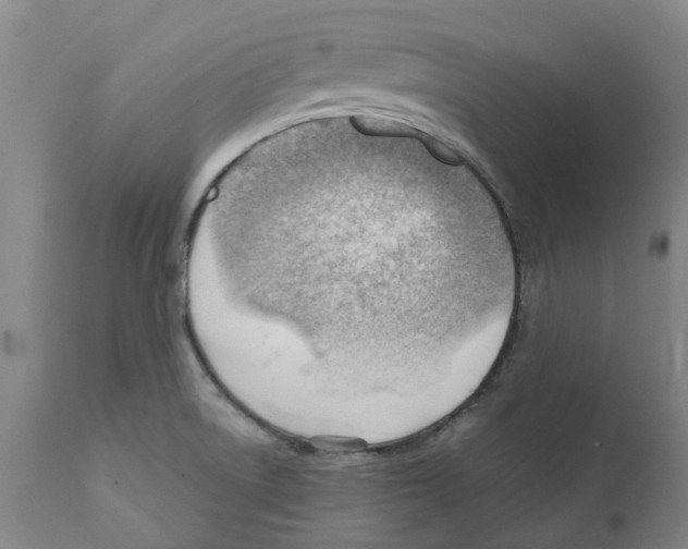 X0000111941522200908241128