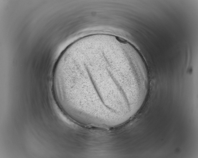 X0000111941523200908241128