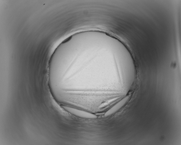 X0000111941524200908241128