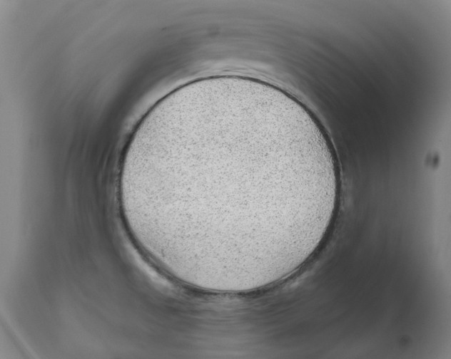 X0000111941525200908241128