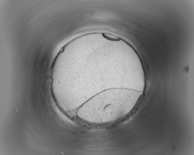 X0000111941526200908241128