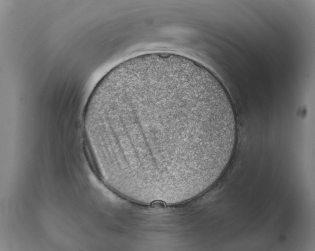 X0000111941527200908241128