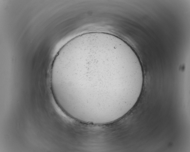 X0000111941528200908241128