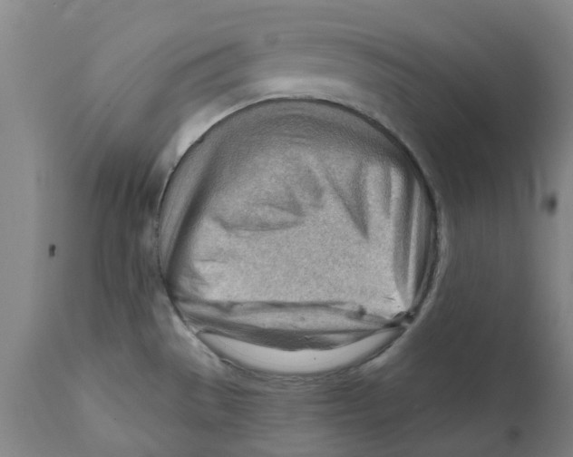 X0000111941529200908241128