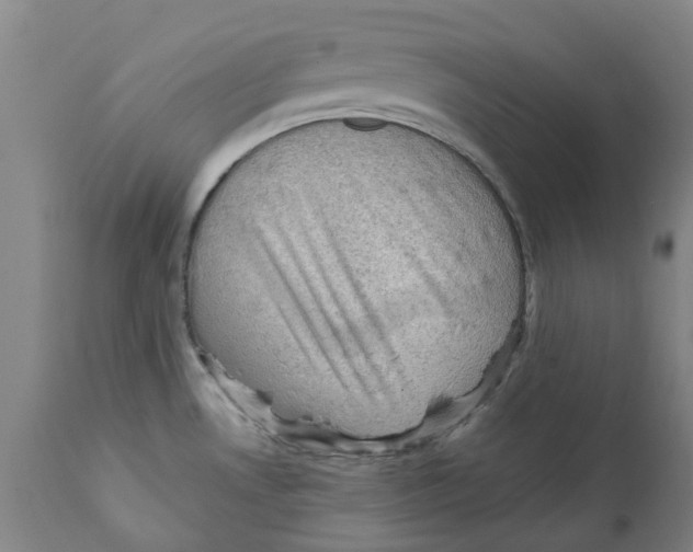 X0000111941530200908241128