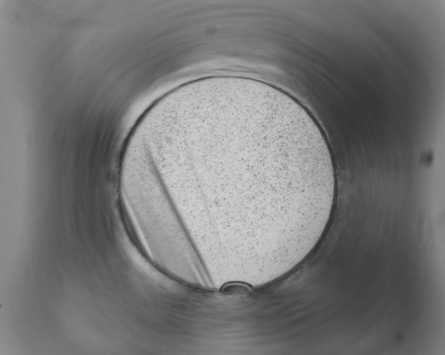 X0000111941531200908241128