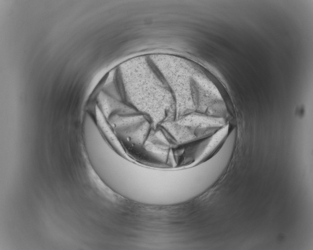 X0000111941532200908241128