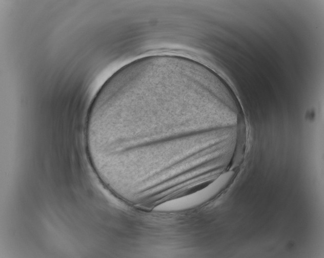 X0000111941533200908241128