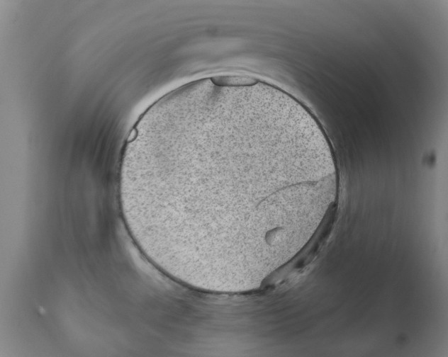 X0000111941534200908241128