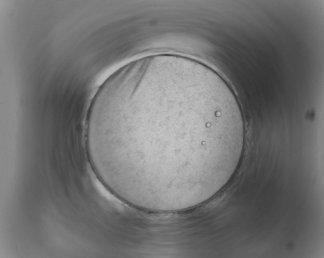 X0000111941535200908241128