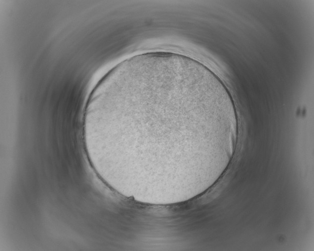 X0000111941536200908241128