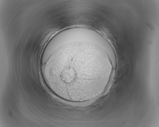 X0000111940001200909071309